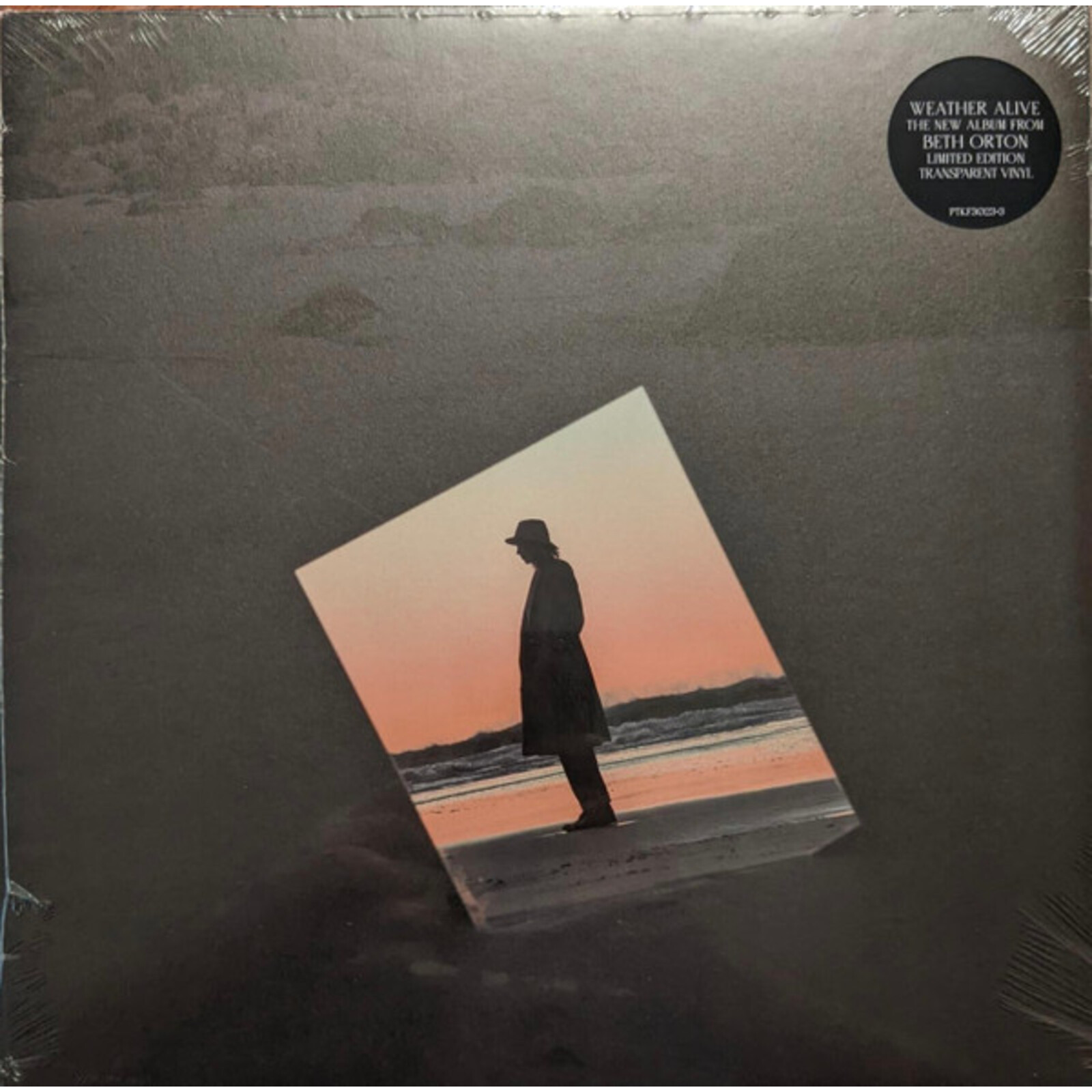Picture of ORTON,BETH - WEATHER ALIVE (CLEAR VINYL/140