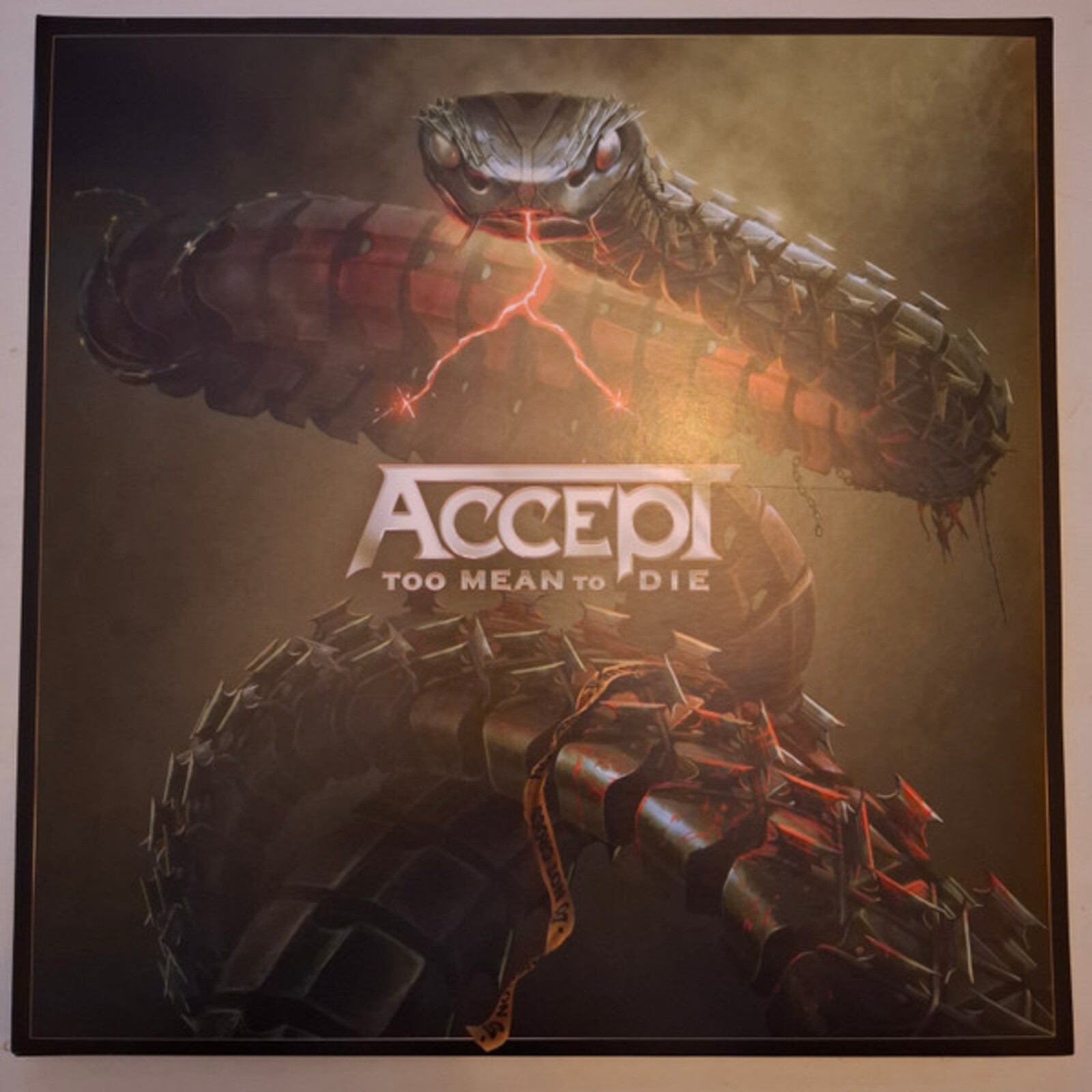 Picture of Accept - Too Mean To Die