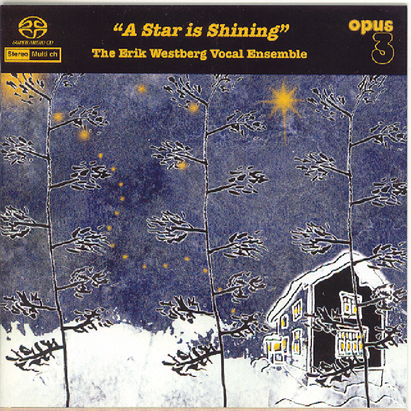 Picture of The Erik Westberg Vocal Ensemble - A Star Is Shining