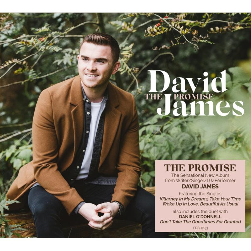 Picture of David James - The Promise