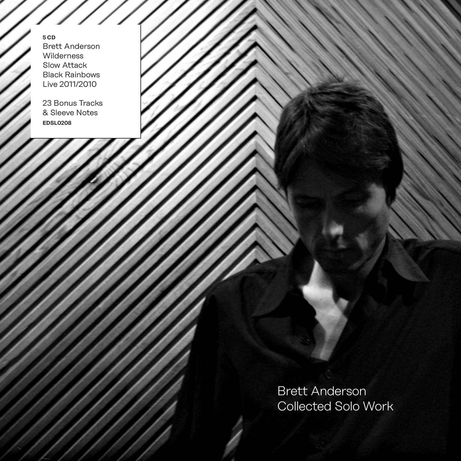 Picture of Brett Anderson - Brett Anderson: Collected Solo Work