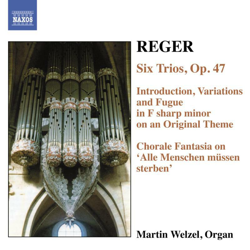Picture of Martin Welzel - REGER: 6 Trios, Op. 47 / Introduction, Variations and Fugue, Op. 73