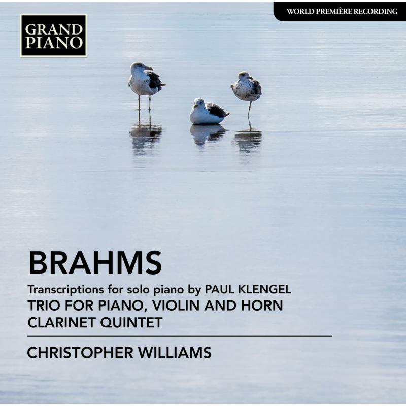 Picture of Christopher Williams - Johannes Brahms: Transcriptions for Solo Piano by Paul Klengel, Trio for Violin, Horn and Piano, Op. 40, Clarinet Quinte