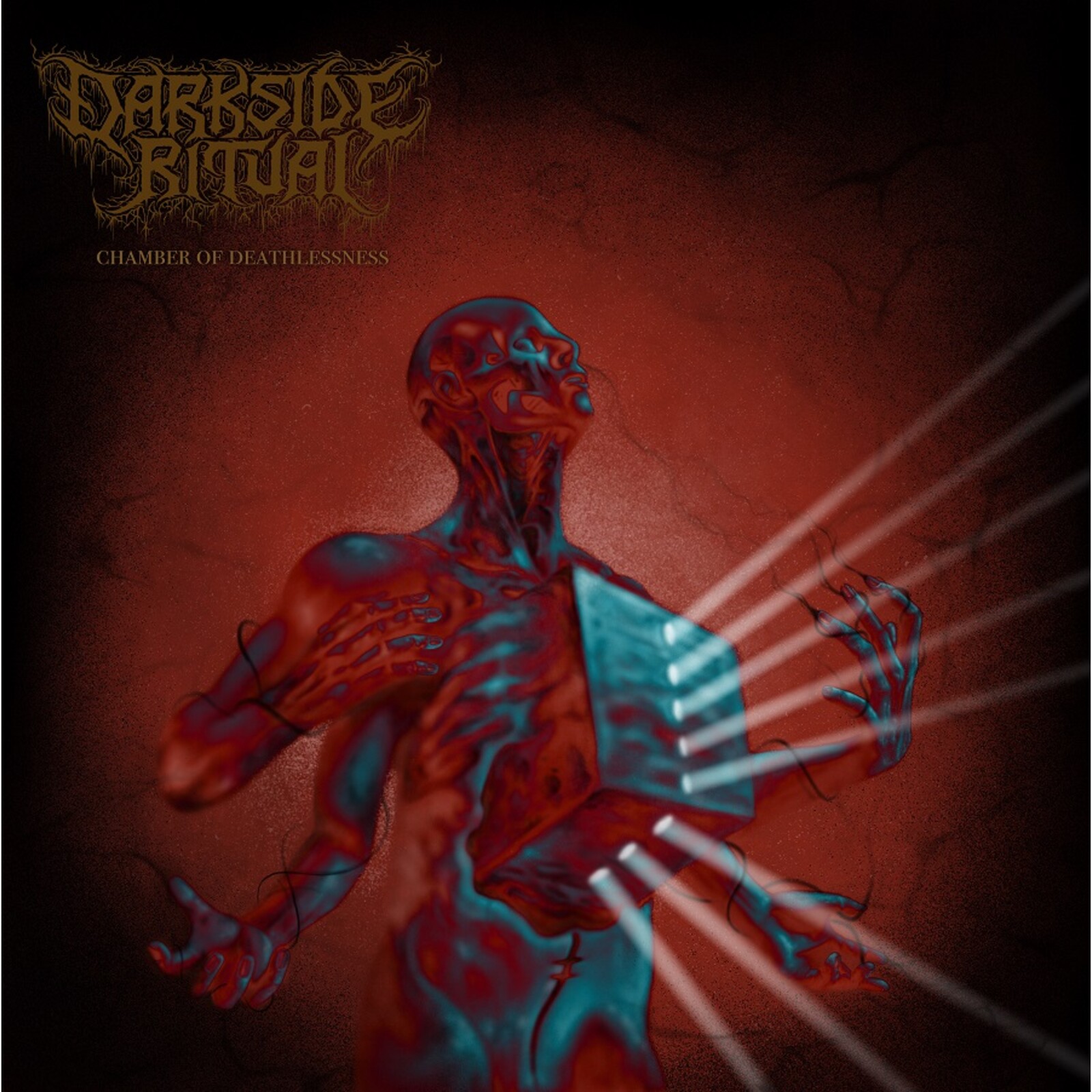 Picture of Darkside Ritual - Chamber of Deathlessness