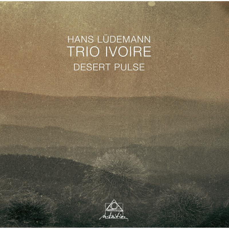 Picture of Hans L�demann & Trio Ivoire - Desert Pulse