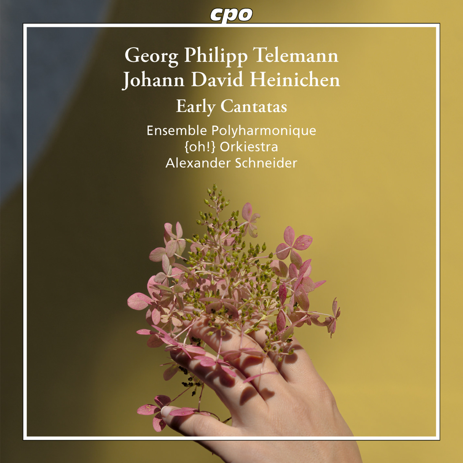 Picture of Ensemble Polyharmonique; {oh!} Orkiestra; Alexander Schneider - Georg Philipp Telemann; Johann David Heinichen: Early Cantatas