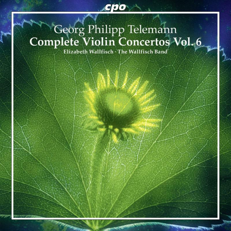 Picture of Wallfisch Band/Elizabeth - Telemann:Violin Concertos Vol.4
