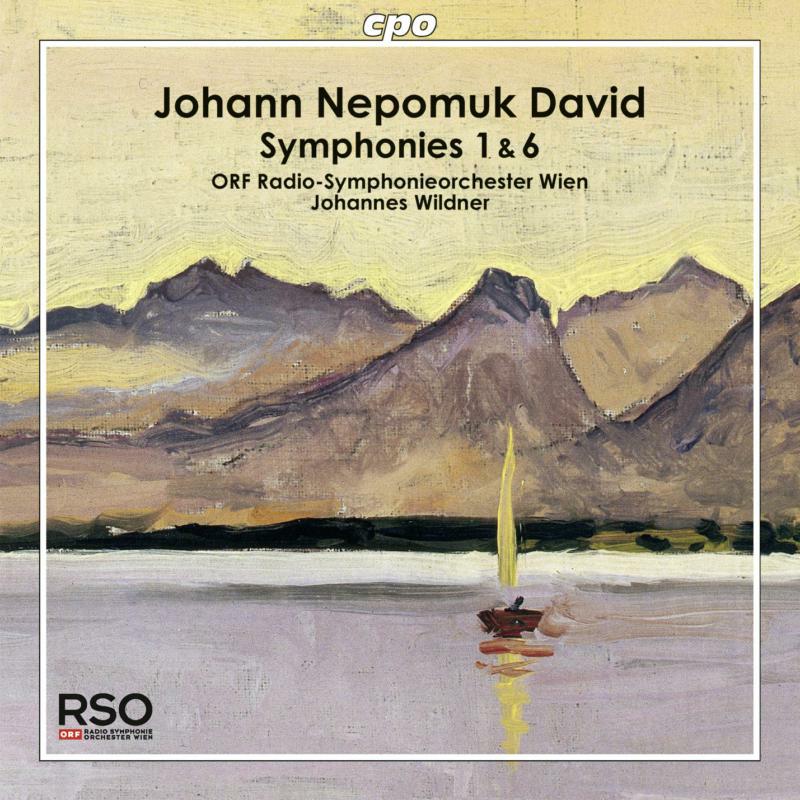 Picture of Ord Rso Wein:Wildner - David: Symphony No. 1 6