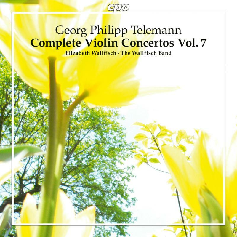 Picture of Wallfisch/Wallfisch Band - Georg Philipp Telemann: Complete Violin Concertos Vol. 7