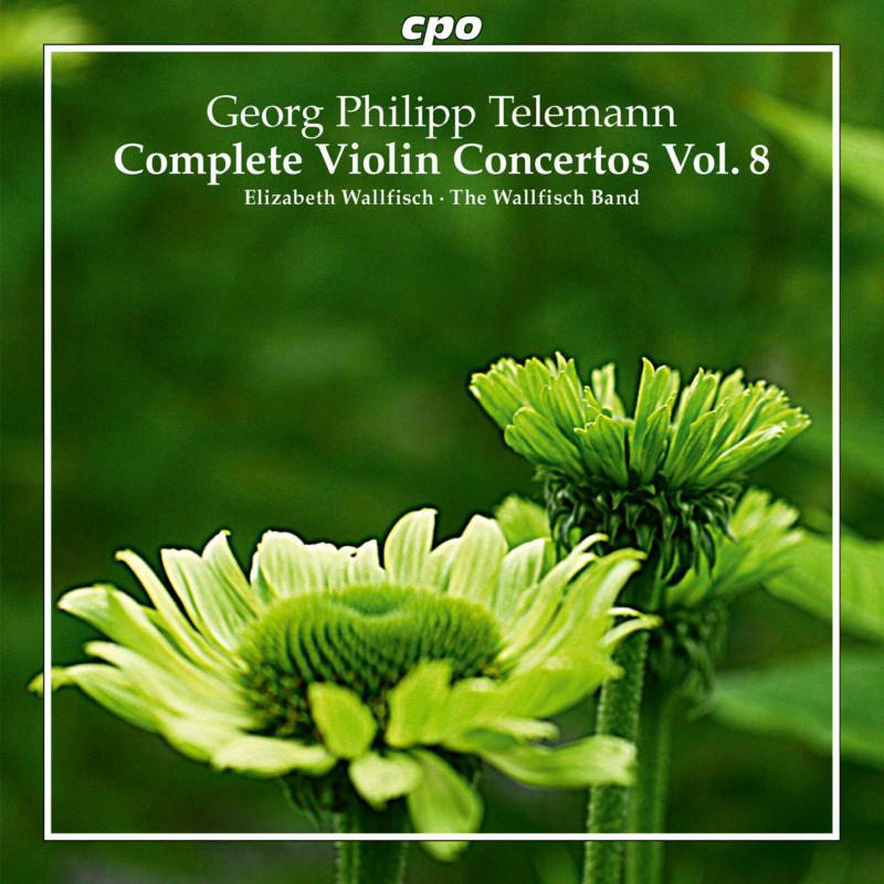Picture of THE WALLFISCH BAND - TELEMANN:VIOLIN CONCERTOS 8