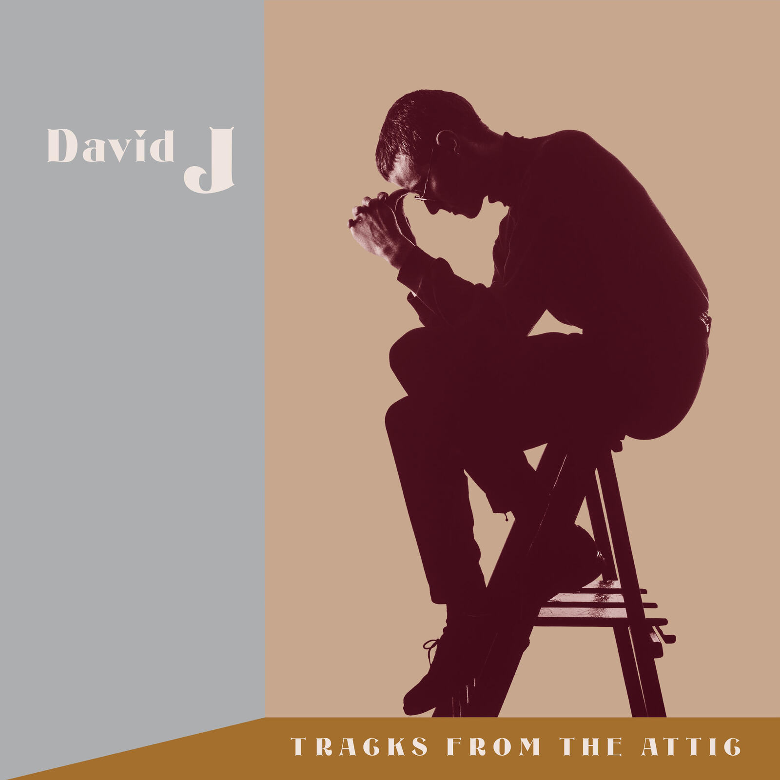 Picture of David J - Tracks From The Attic