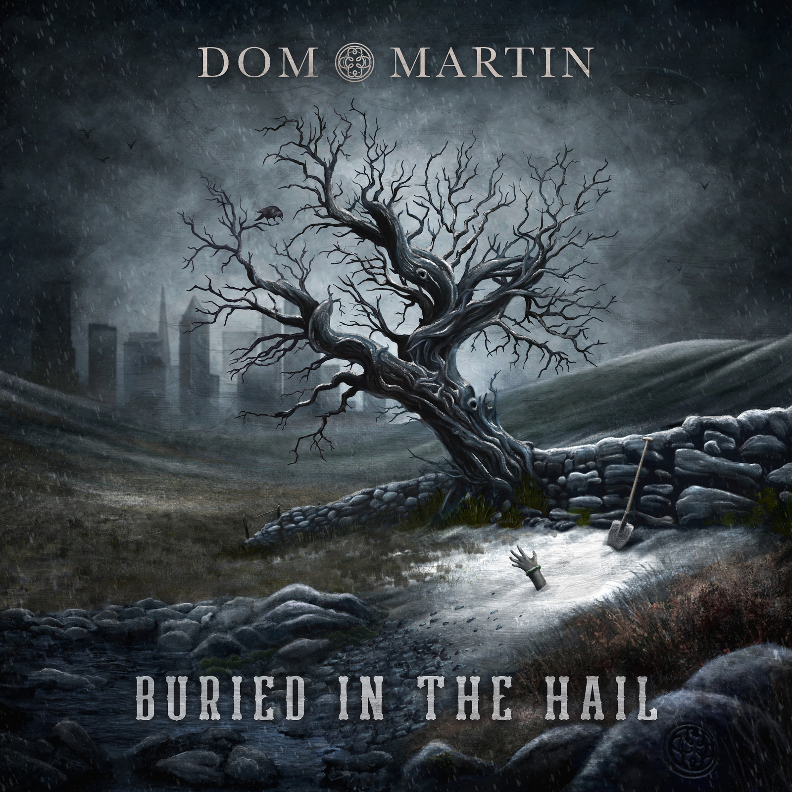 Picture of Dom Martin - Buried In The Hail