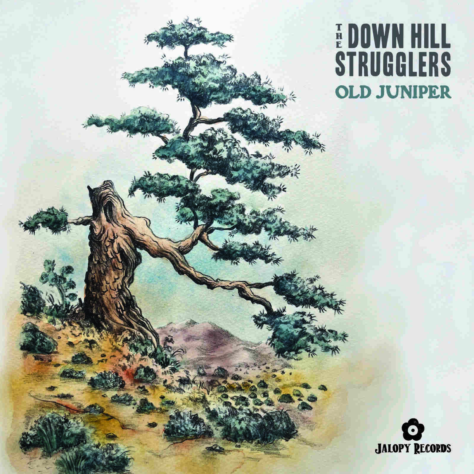 Picture of The Down Hill Strugglers - Old Juniper