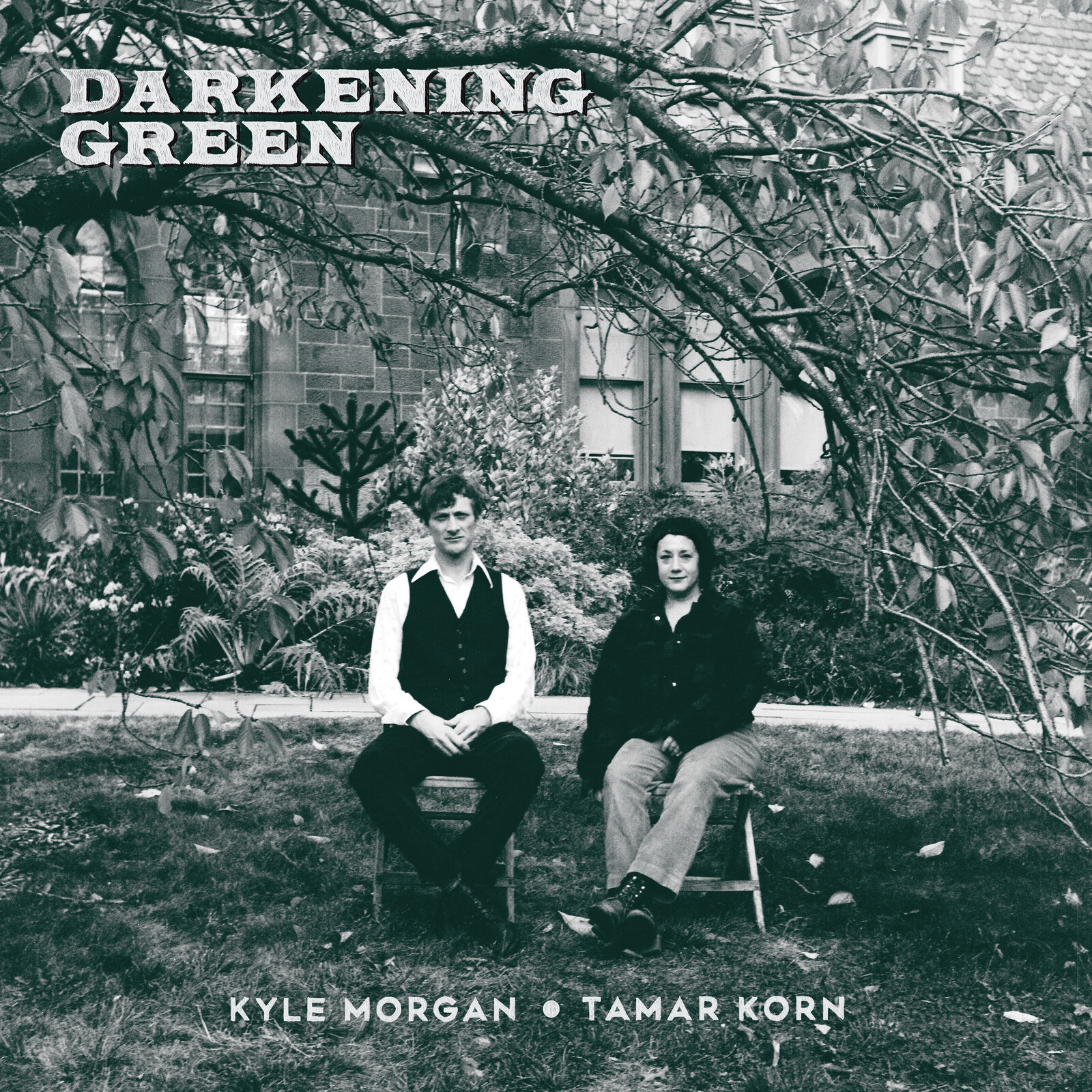 Picture of Kyle Morgan & Tamar Korn - Darkening Green