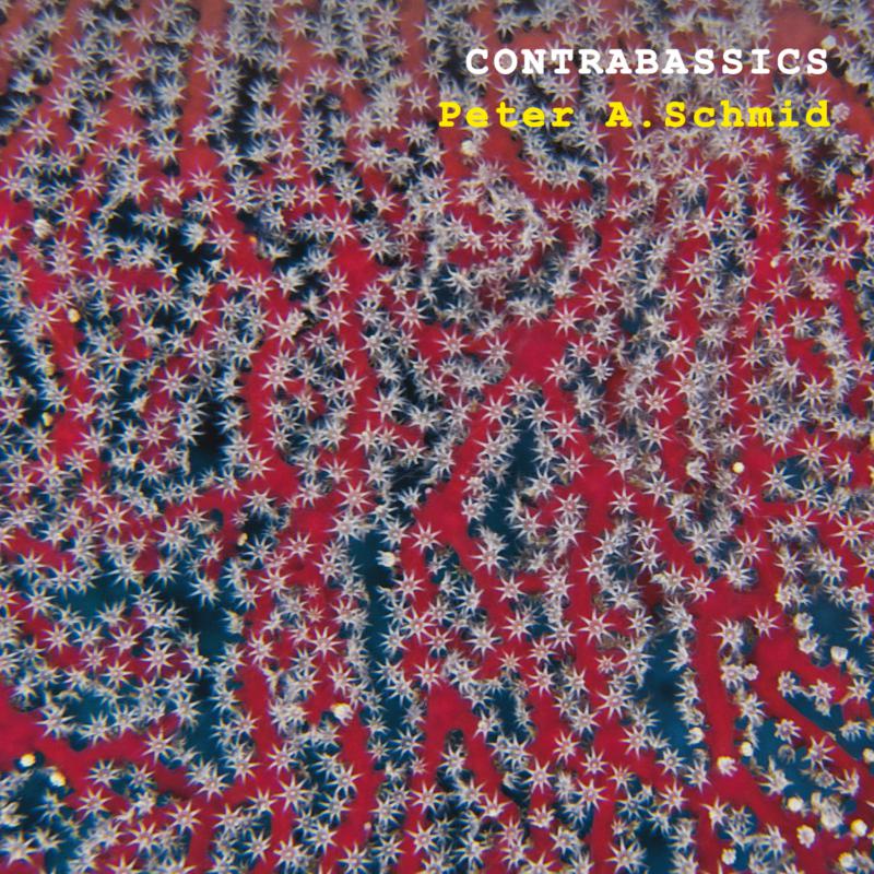 Picture of Peter A. Schmid - Contrabassics