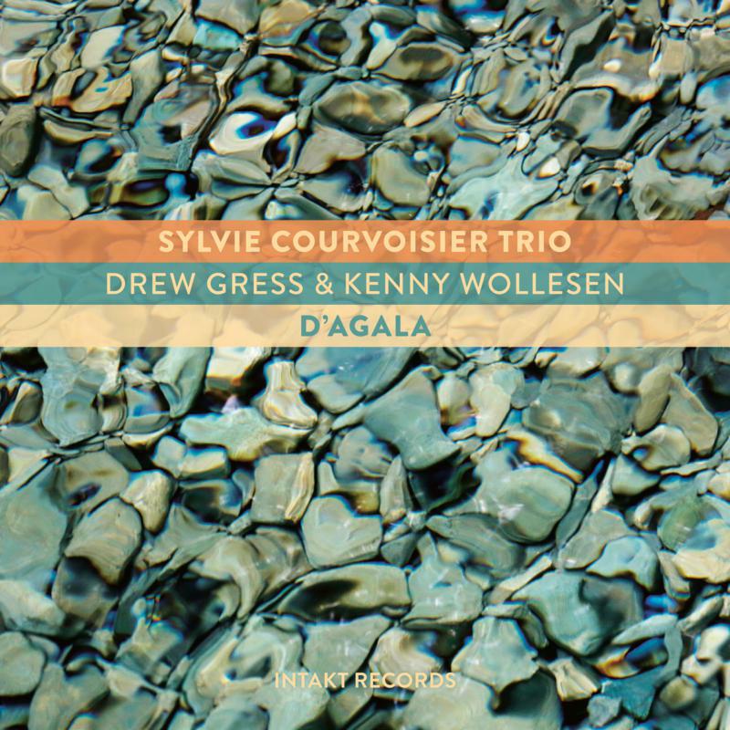 Picture of Sylvie Trio Courvoisier - D'agala