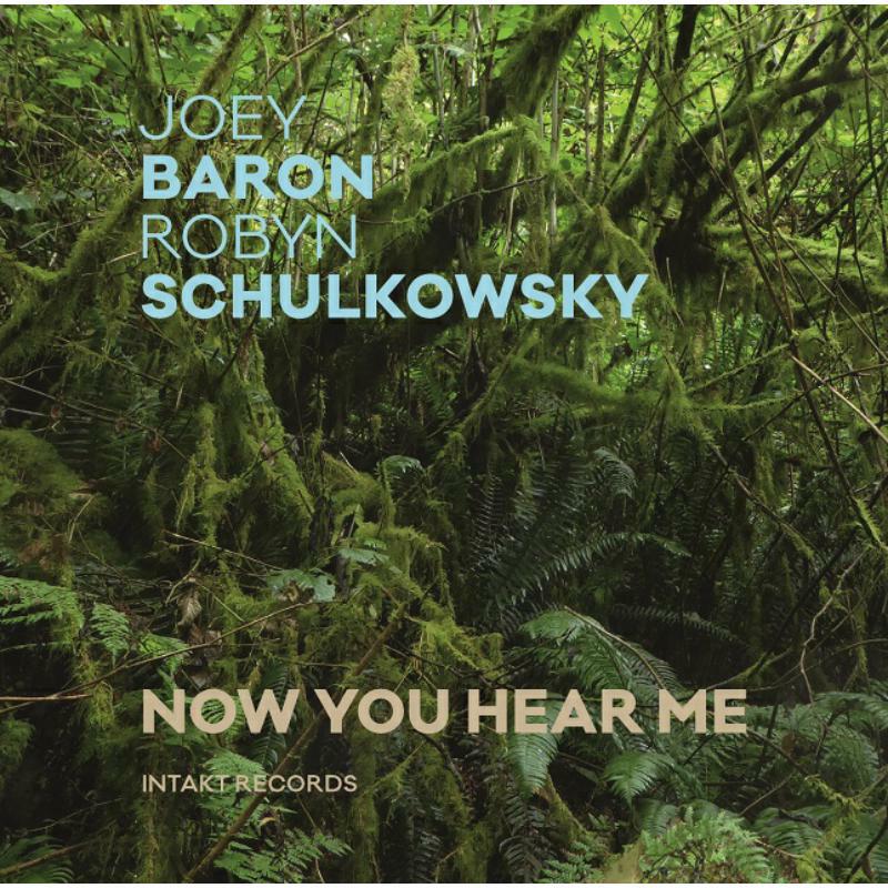 Picture of Joey & Robyn Schulkowsky Baron - Now You Hear Me