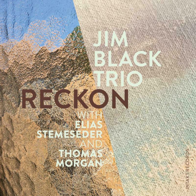 Picture of Jim Black Trio - Reckon