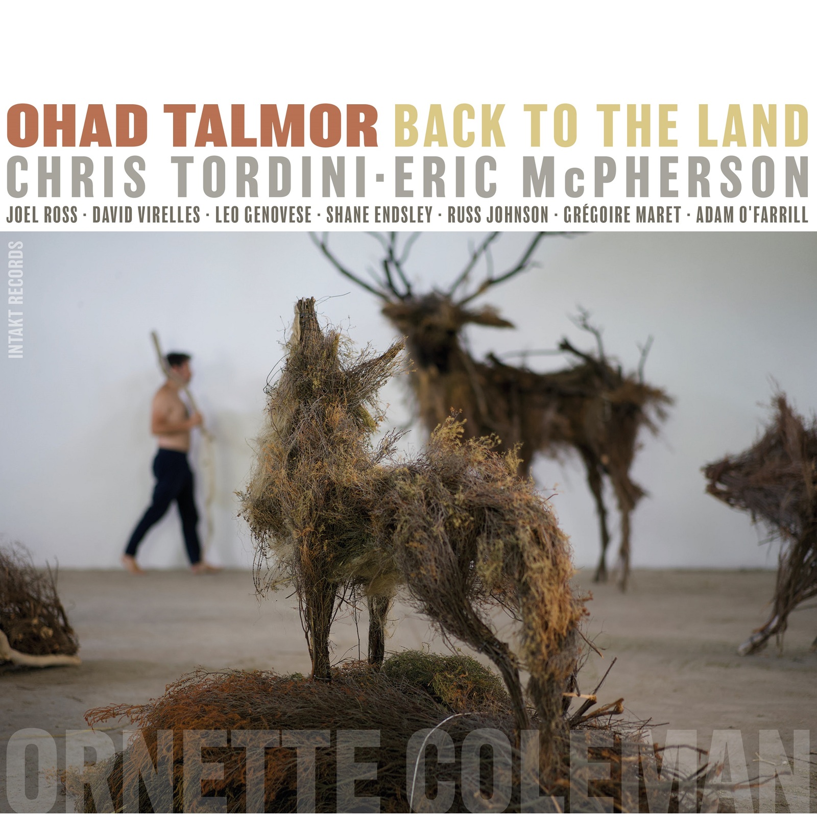 Picture of Ohad Talmor - Back To The Land