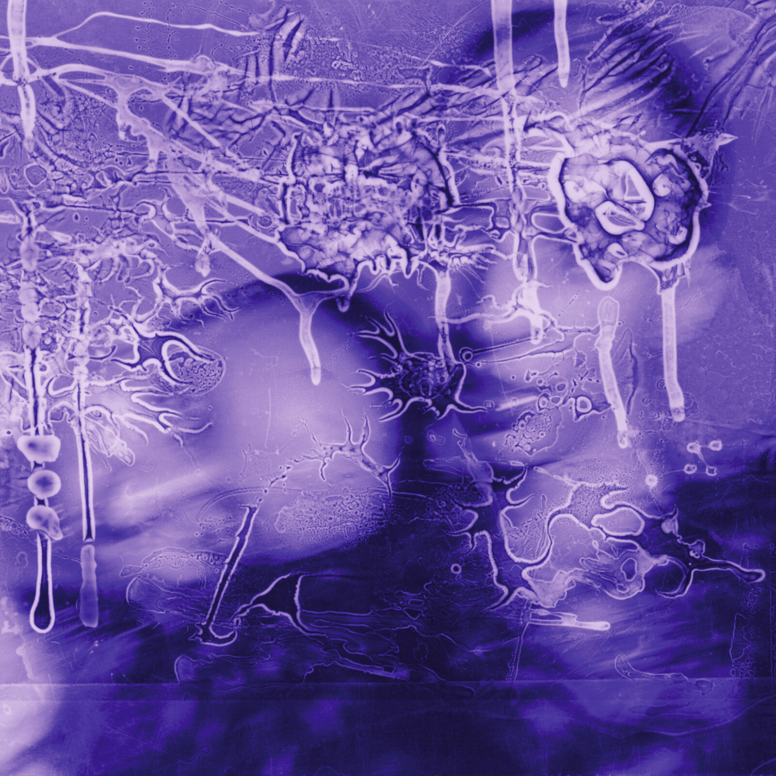 Picture of Sirens Of Lesbos - i got a song, it's gonna make us millions