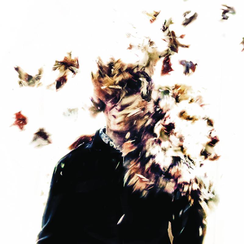 Picture of Kittel & Co. - Whorls