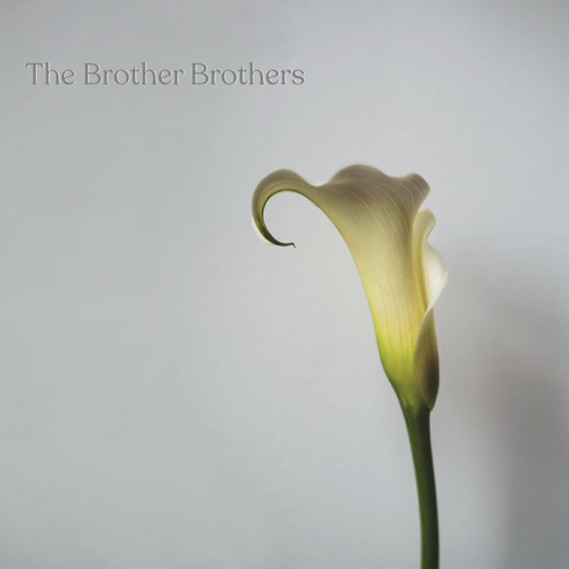Picture of The Brother Brothers - Calla Lily