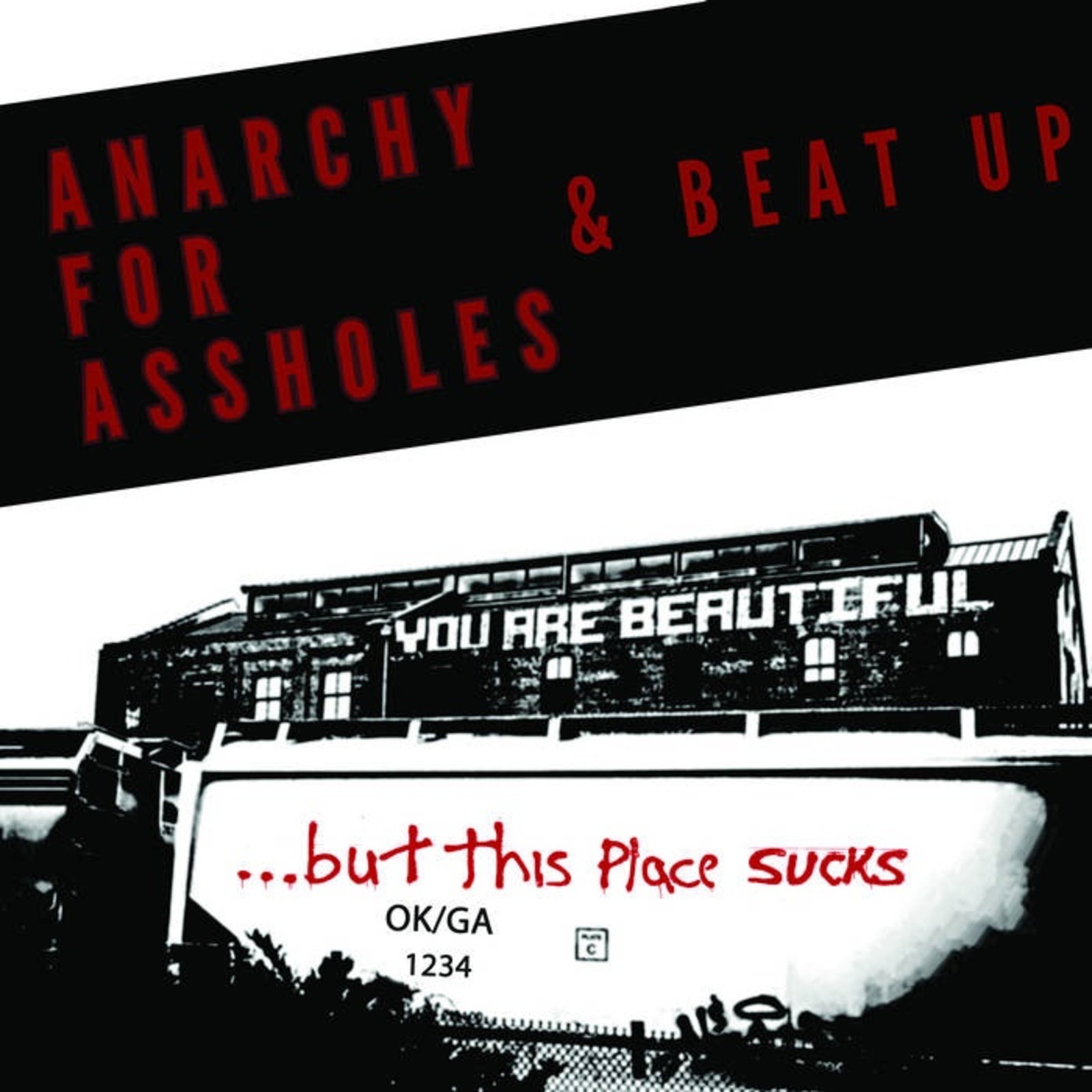 Picture of Anarchy For Assholes/Beat Up - You Are Beautiful... But This Place Sucks