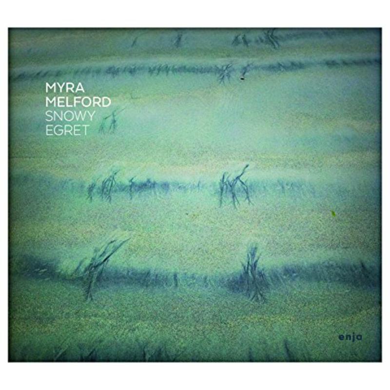 Picture of Myra Melford - Snowy Egret