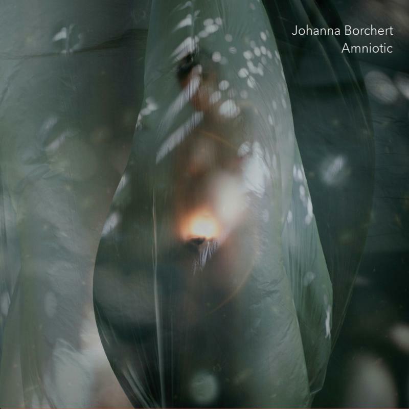 Picture of Johanna Borchert - Amniotic
