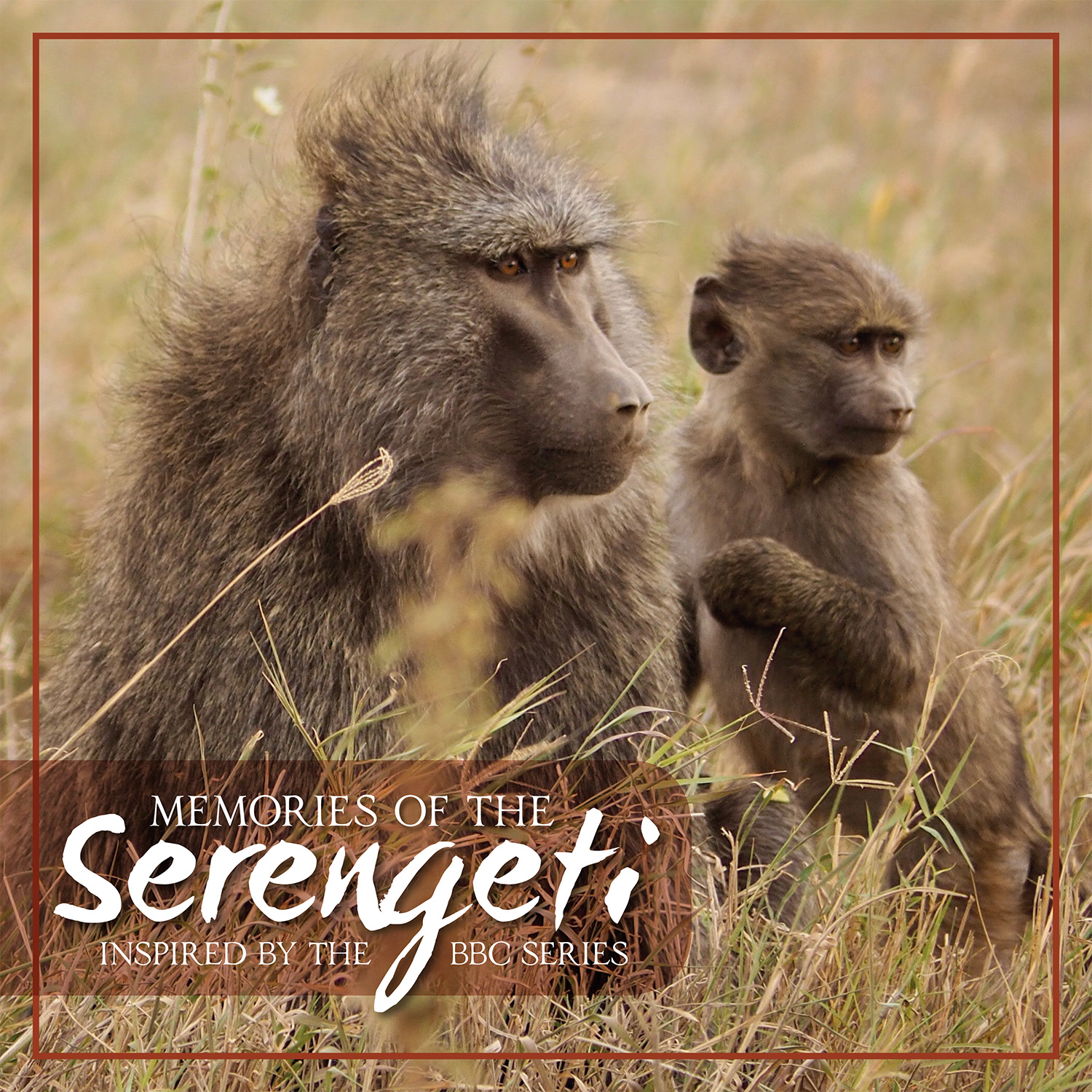 Picture of Various - Memories Of Serengeti