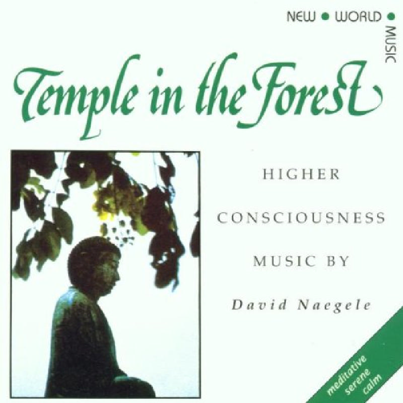 Picture of David Naegele - Temple In The Forest