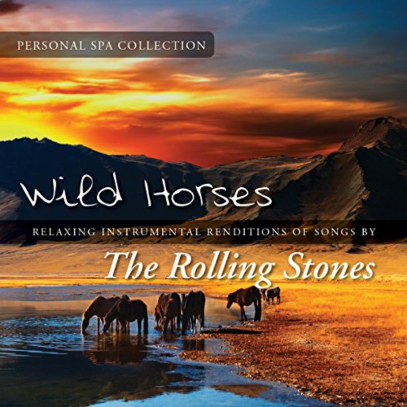 Picture of Judson Mancebo - Wild Horses