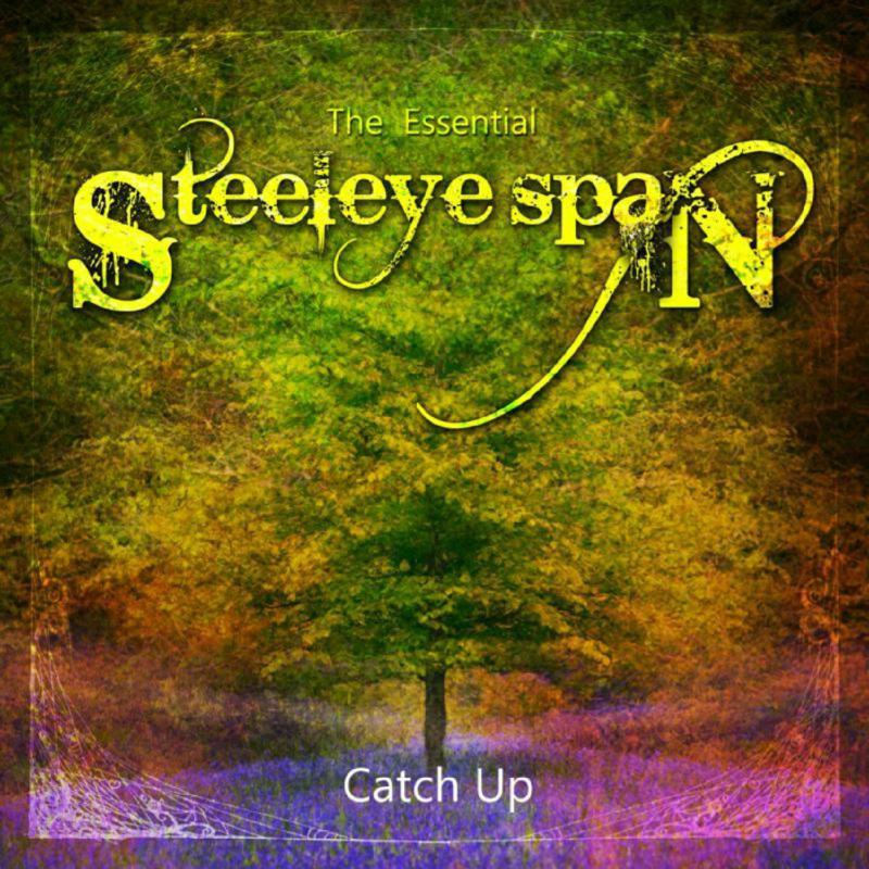 Picture of Steeleye Span - Catch Up - The Essential Steeleye Span