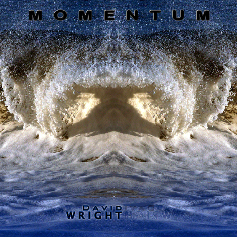 Picture of WRIGHT,DAVID - Momentum