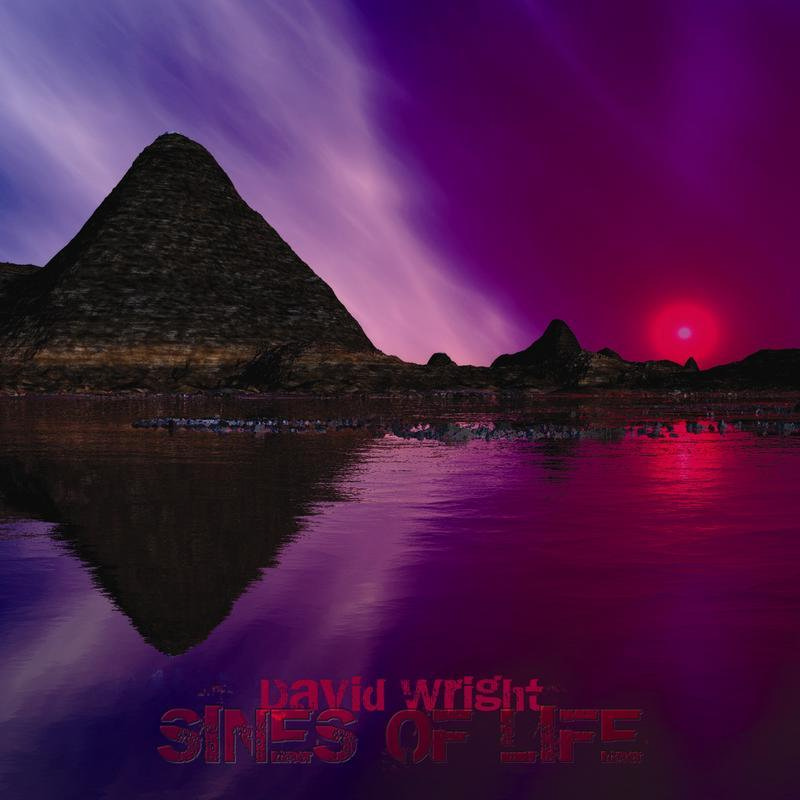 Picture of David Wright - Sines of Life (Volume 1)