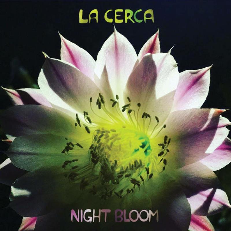 Picture of La Cerca - Night Bloom