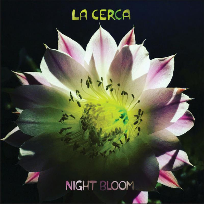 Picture of La Cerca - Night Bloom