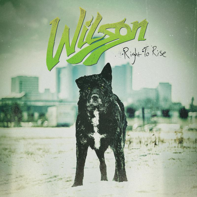 Picture of Wilson - Right To Rise