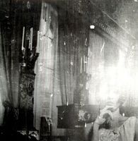 Picture of Belong - Common Era