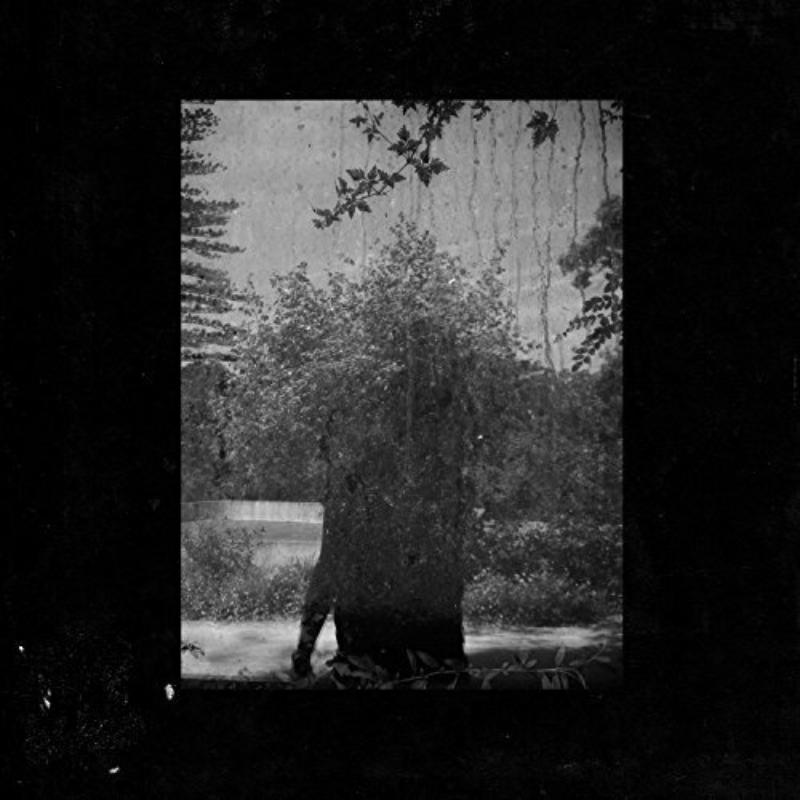 Picture of Grouper - Ruins