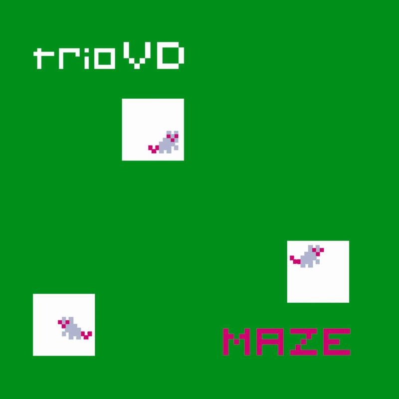 Picture of TrioVD - Maze