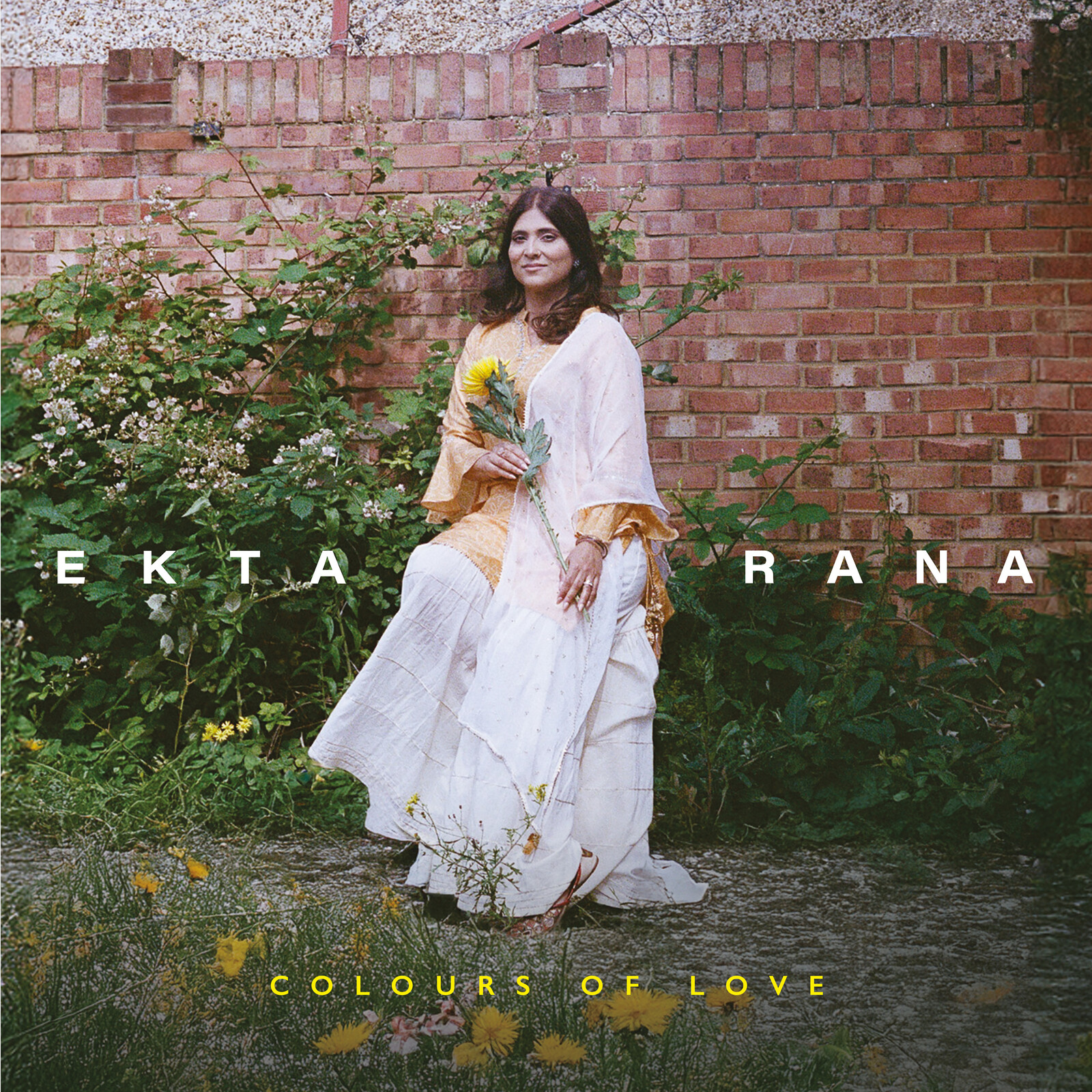 Picture of Ekta Rana - Colours Of Love