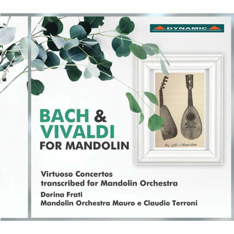 Picture of Various - Bach & Vivaldi for Mandolin: Virtuoso Concertos transcribed for Mandolin Orchestra