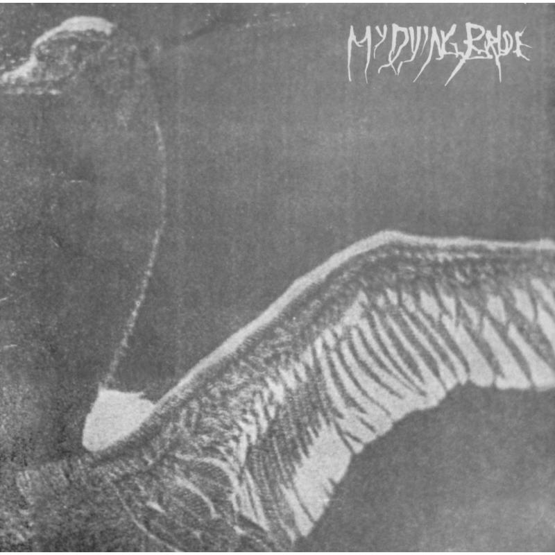 Picture of My Dying Bride - Turn Loose The Swans