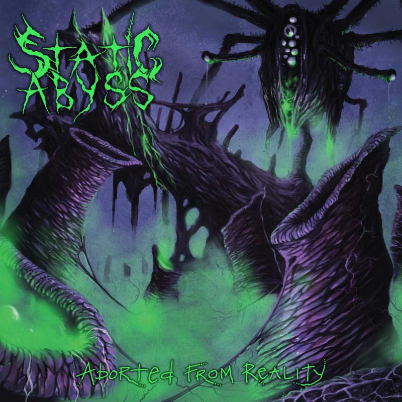 Picture of Static Abyss - Aborted From Reality