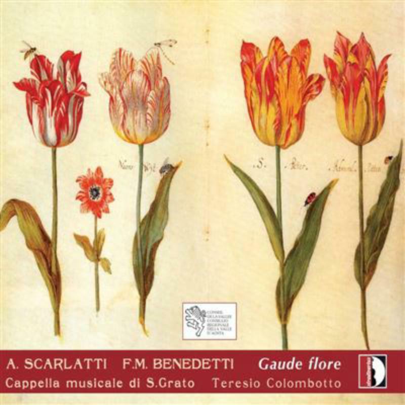 Picture of Cappella Musicale Di S.Grato - Scarlatti: Gaude flore