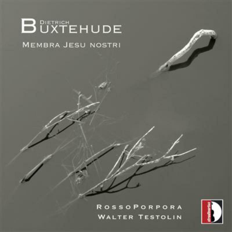 Picture of Testolin/Rosso Porpora - Buxtehude: Membra Jesu Nostri