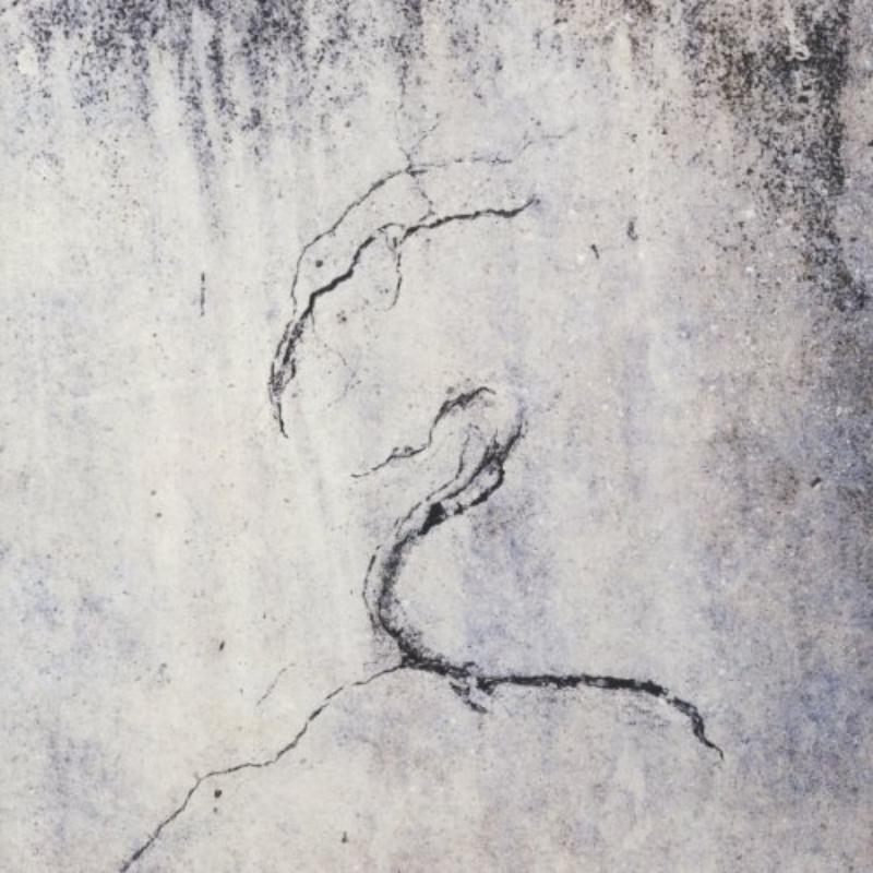 Picture of Lunatic Soul - Impressions