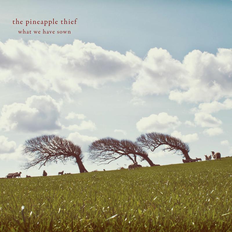 Picture of The Pineapple Thief - What We Have Sown