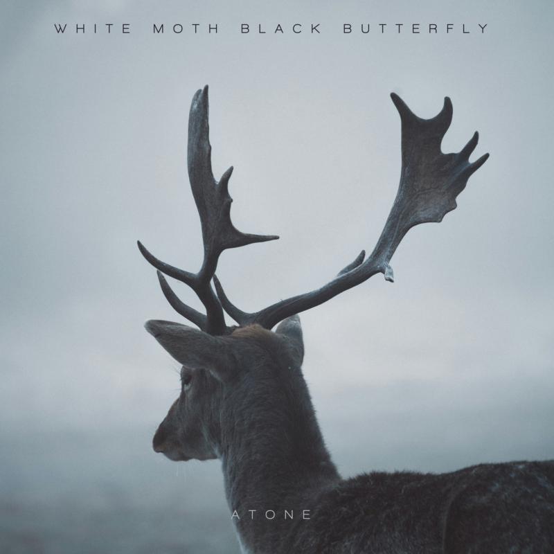 Picture of White Moth Black Butterfly - Atone (Expanded Edition)